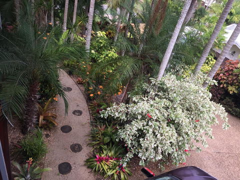 Casuarina - C Tourism 0