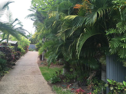 Casuarina - C Tourism 21