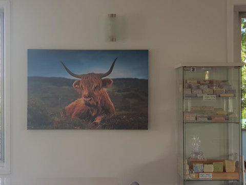 Highland House - C Tourism 4