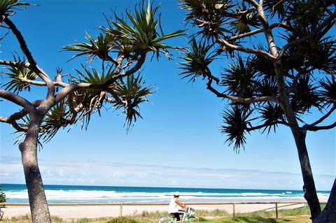 Grande Florida Beachside Resort - C Tourism 34