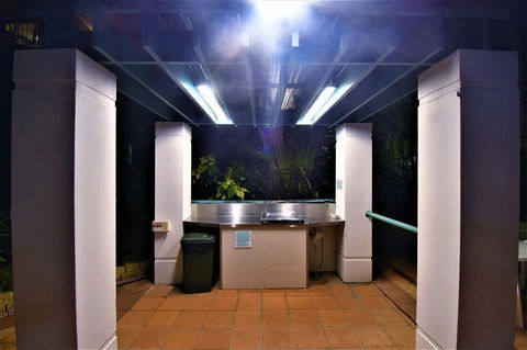 Grande Florida Beachside Resort - C Tourism 40