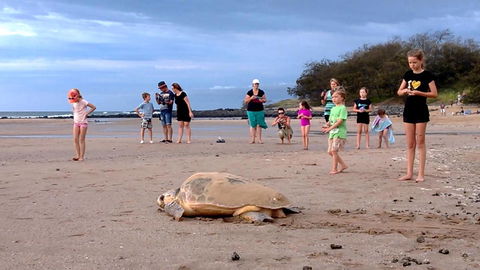 Dune On The Beach - C Tourism 6