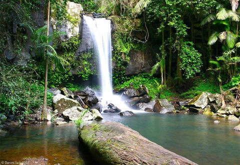 Curtis Falls Cottage - C Tourism 22