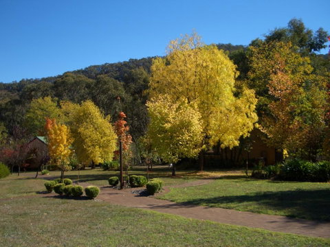 Willowlake Cottages - C Tourism 0
