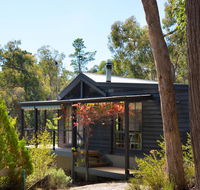 Wood for the Trees - C Tourism