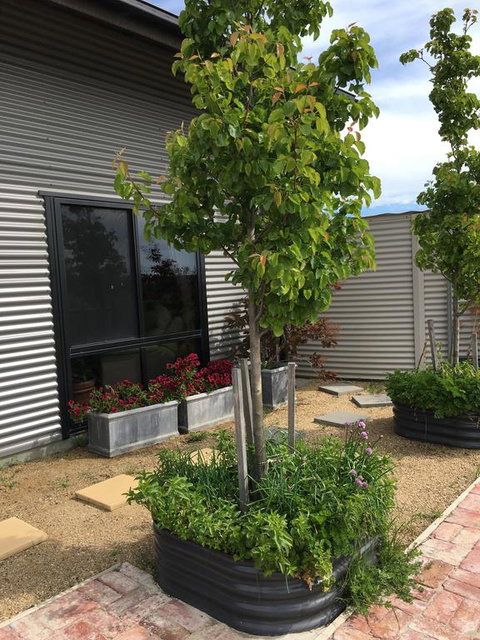 Woolamai Dreaming - C Tourism 2