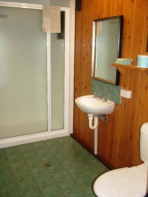 Atherton Blue Gum - C Tourism 4