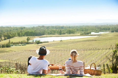 Audrey Wilkinson Vineyard - C Tourism 0