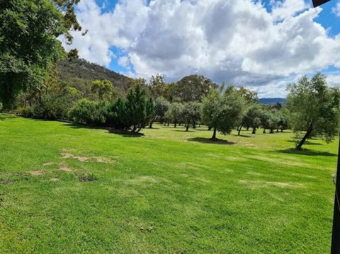 Back Creek Estate Cottage - C Tourism 3