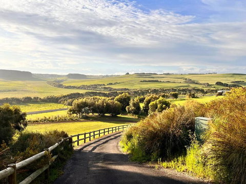 Banksia - C Tourism 2