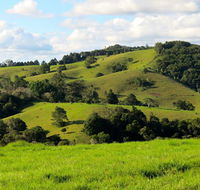 Maleny Springs Farm - C Tourism