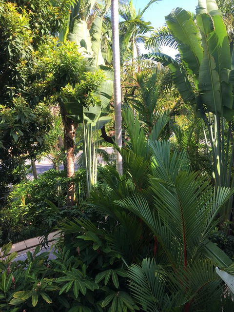 Port Douglas Apartments - Adults Only Oasis - C Tourism 1