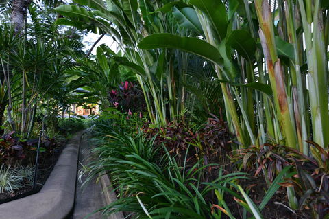 Port Douglas Apartments - Adults Only Oasis - C Tourism 9