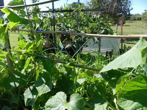 Hay Point Country BnB - C Tourism 17