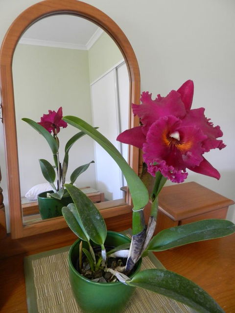 Hay Point Country BnB - C Tourism 10