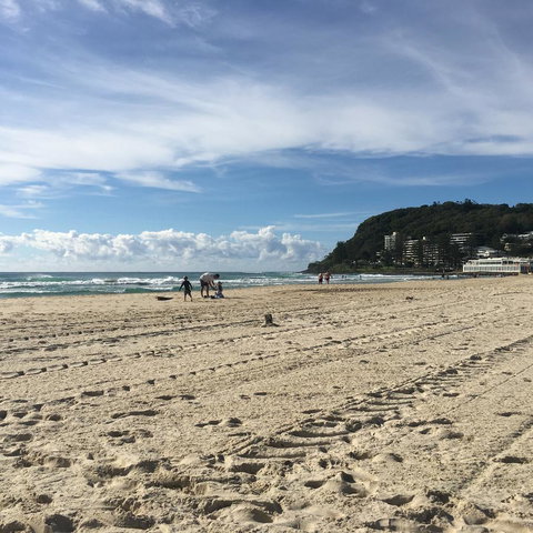 Burleigh Palms Holiday Apartments - C Tourism 14