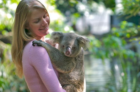 Martinique On Macrossan - C Tourism 30