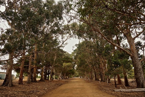 Hanson Bay Cabins - C Tourism 21