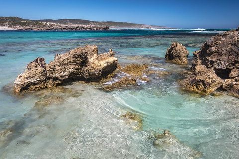 Hanson Bay Cabins - C Tourism 1