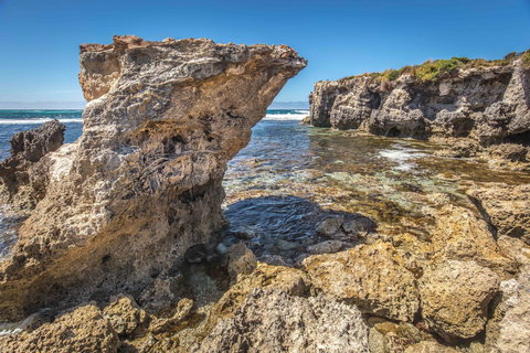 Hanson Bay Cabins - C Tourism 2