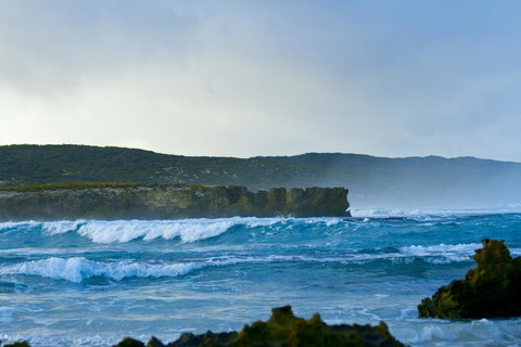Hanson Bay Cabins - C Tourism 18
