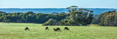 Hanson Bay Cabins - C Tourism 23