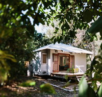 The Little Bush Hut - C Tourism