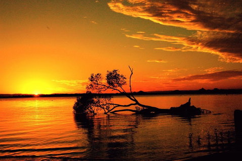 Fishing And Swimming At Your Doorstep - Sylvan Beach Esp, Bellara - C Tourism 2