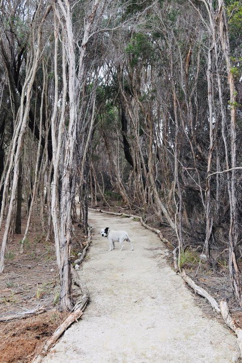 Flinders Island Glamping - C Tourism 12