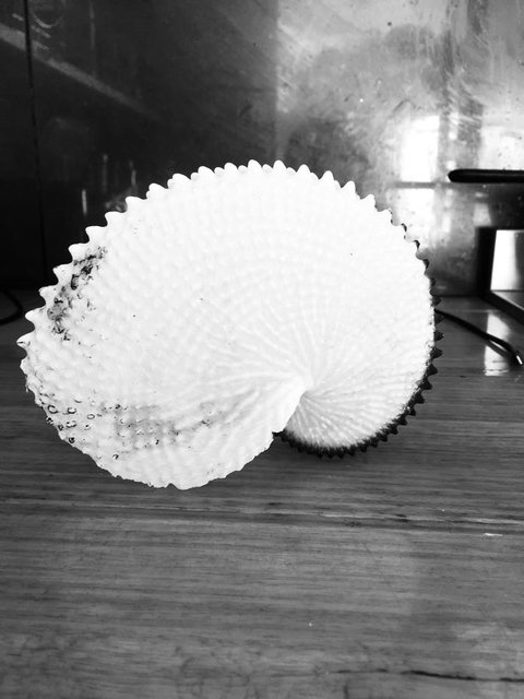 Flinders Island Glamping - C Tourism 11