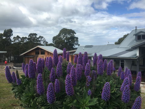 Bruny Island Lodge - C Tourism 5