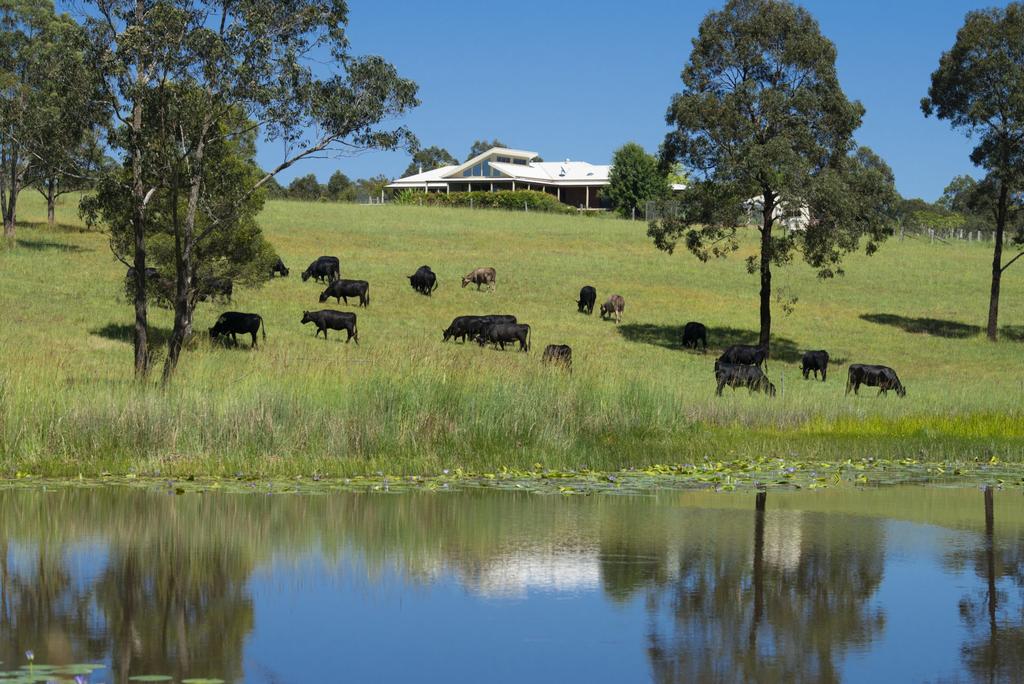 Yagon NSW C Tourism