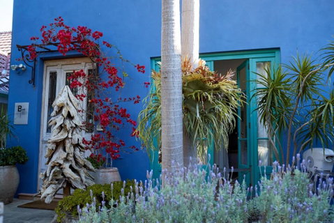 Bondi Beach House - C Tourism 0