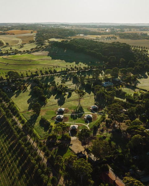 CANVS By CABN Seppeltsfield Barossa - C Tourism 1