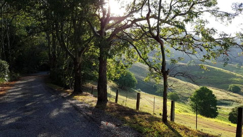 Dayboro Cottages - C Tourism 1