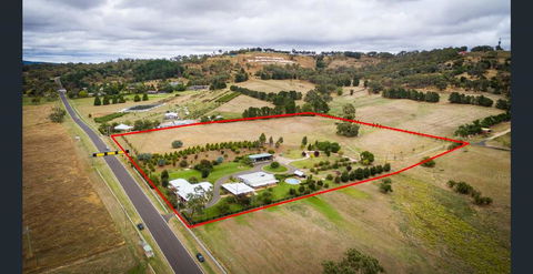 505 CONROD STRAIGHT MOUNT PANORAMA - C Tourism 0