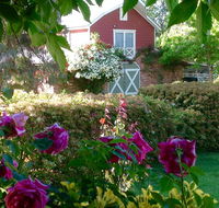 A Country Barn Retreat - C Tourism