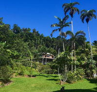 A Daintree Garden - C Tourism
