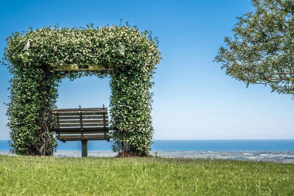 Mcleods Shoot NSW C Tourism