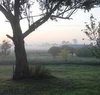Abington Farm - C Tourism