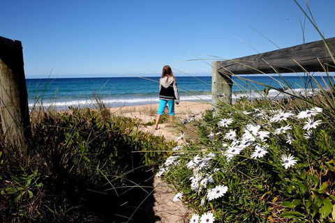 Absolute Beachfront Mollymook - C Tourism 3