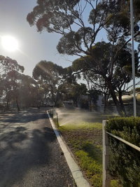 Book Norseman Accommodation Vacations C Tourism C Tourism