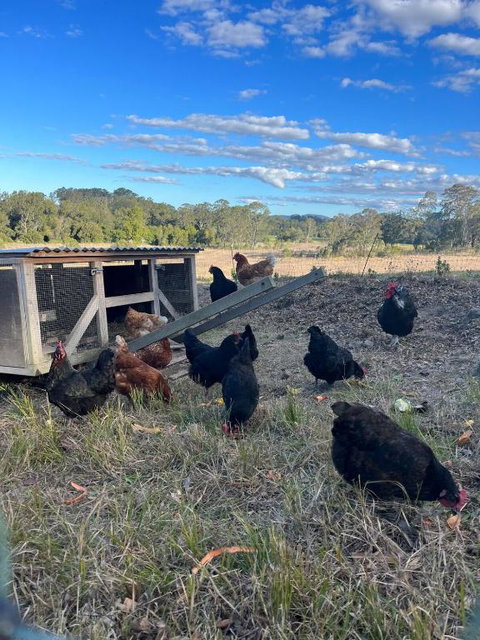 Eco Friendly Cottage At Simple Patch Farm Wingham - C Tourism 3