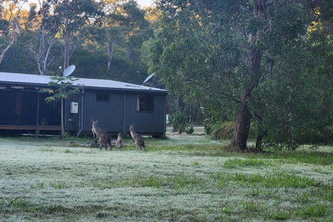 EcoRetreat 1770 - C Tourism 4