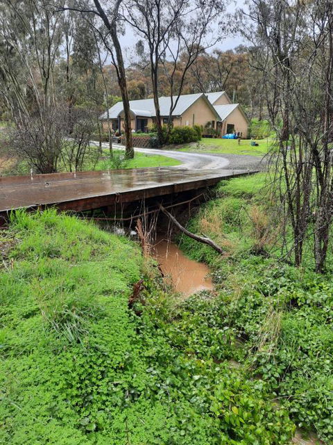 Frogmouth Hollow - C Tourism 4