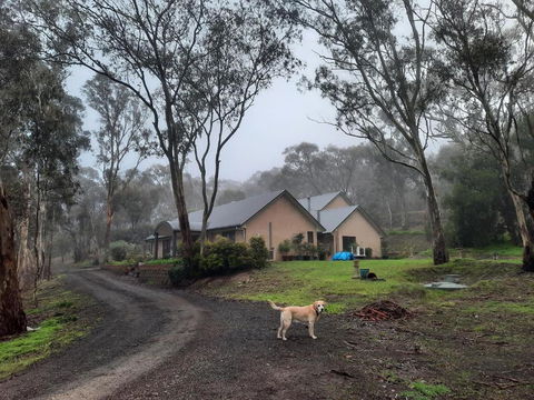 Frogmouth Hollow - C Tourism 0