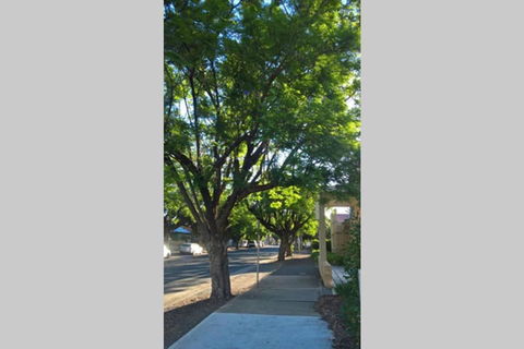 Gawler Heritage Accommodation - C Tourism 1
