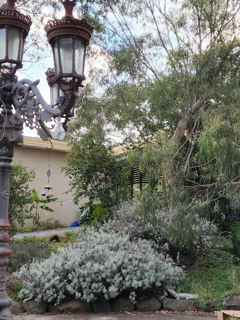 Green Heavan - C Tourism 3