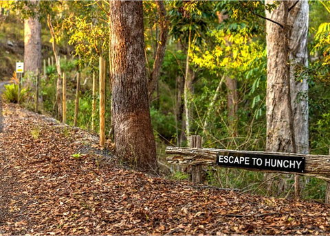 Hunchy Escape - C Tourism 3