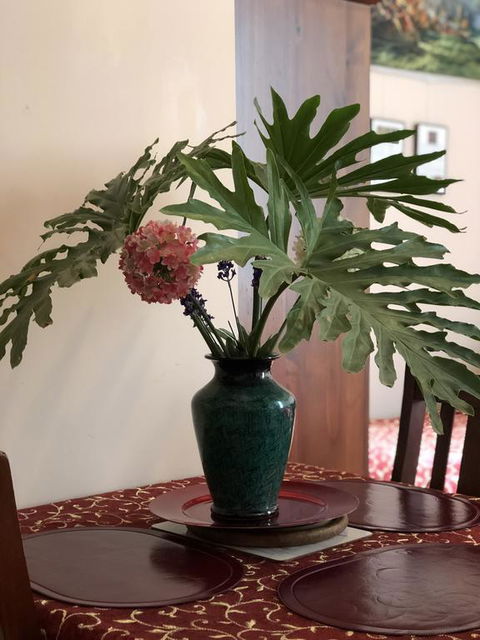 Albany Foreshore Guest House - C Tourism 3